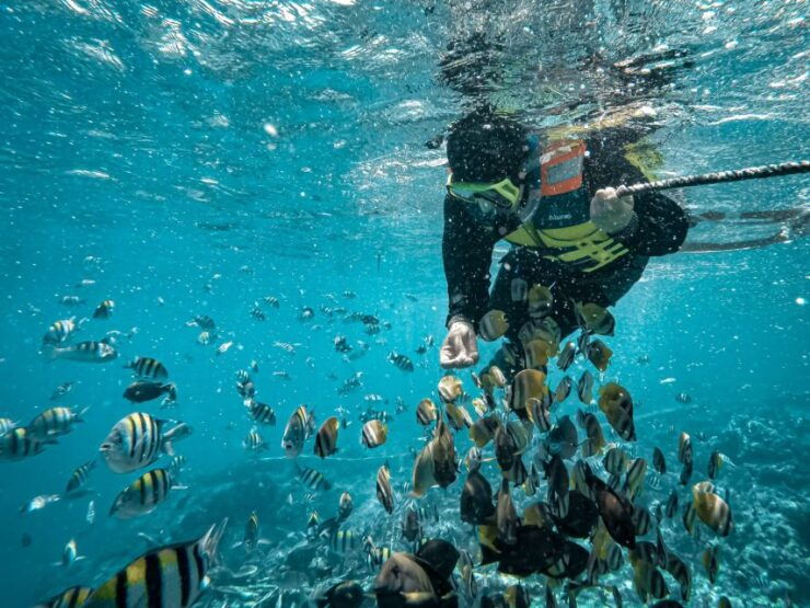 Hidden Gili's Lombok Snorkeling Daily Tour - Adventure Description