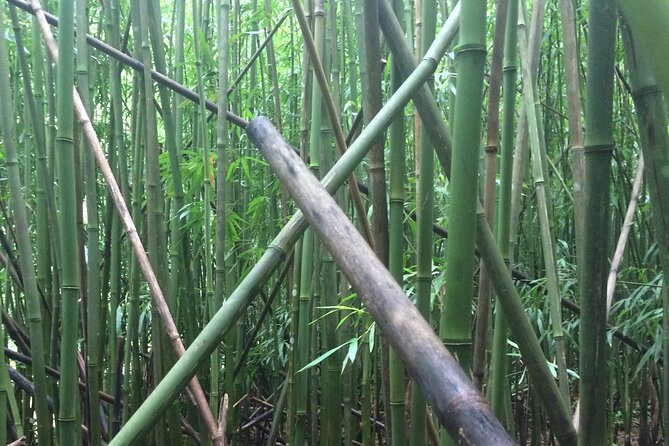 Hidden Hawaii Tours - Discovering Hidden Treasures