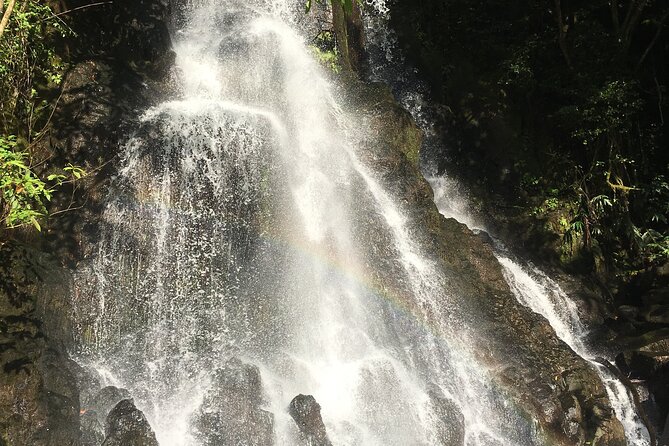 Hidden Hawaii Tours - Common Questions