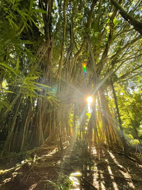 Hidden Hawaii Waterfall Hike & Beach Tour (Pickup + Photos!) - Group Size and Inclusions