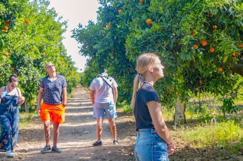 Hidden Paradise Combo Green Lake With Lunch & Boat - Good To Know