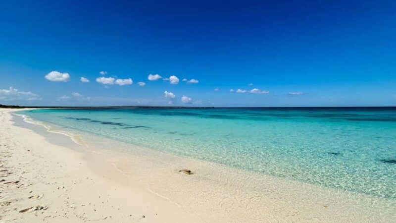 Hidden Paradise in the Caribbean: All-Inclusive VIP Private Glamping - Authentic Insights from Reviewers