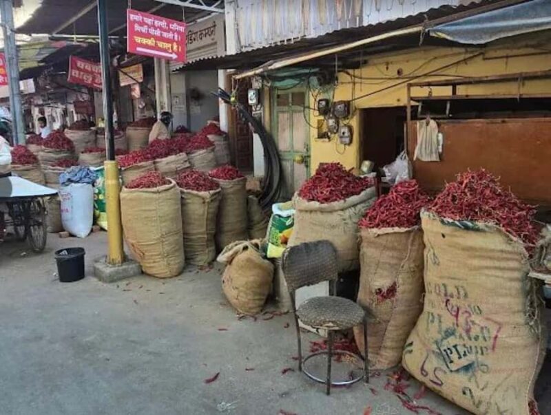 Hidden side of Udaipur : City walk with Mitali - A Closer Look at the Experience