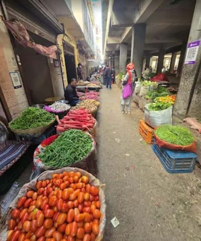 Hidden side of Udaipur : City walk with Mitali - What Makes This Tour Valuable?