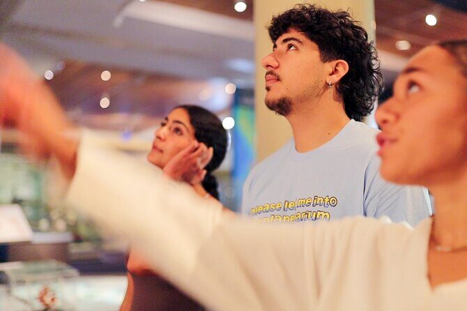 Hidden Thura Otago Museum Experience - The Itinerary Breakdown