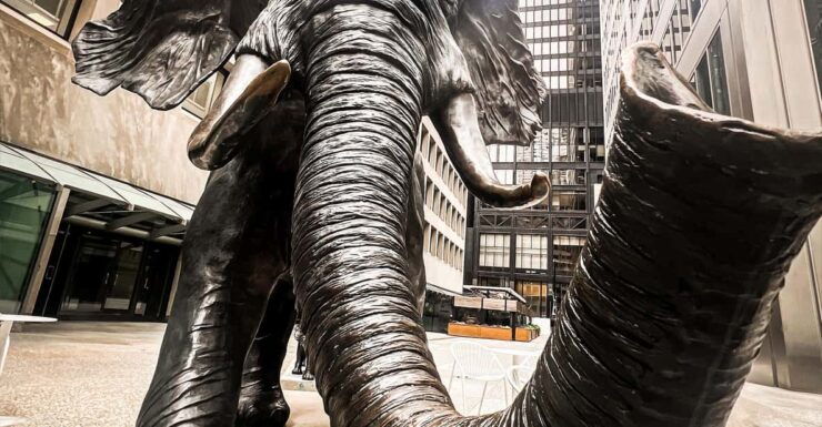 Hidden Toronto City Walking Tour - Booking Information