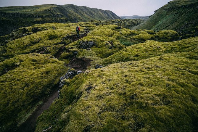 Hidden Trails of Iceland - Exploring the East Fjords