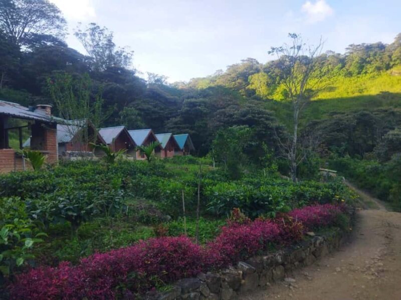 Hidden Trails of Knuckles & Meemure 3-Day Adventure Getaway - FAQ