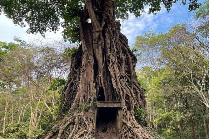 "Hidden Treasures: Beng Mealea and Sambor Prei Kuk Temple tours - Exploring Cambodia’s Hidden Temples: A Detailed Review
