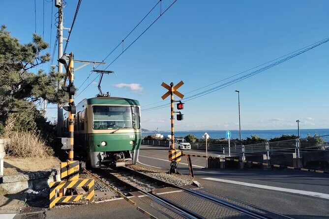 Hidden Treasures of Kamakura Temples Shrines and Buddha - Who Should Consider This Tour