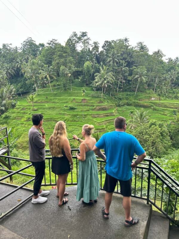 Hidden Ubud All-inclusive: Temple, Waterfalls & Jungle Swing - Detailed Breakdown of the Itinerary