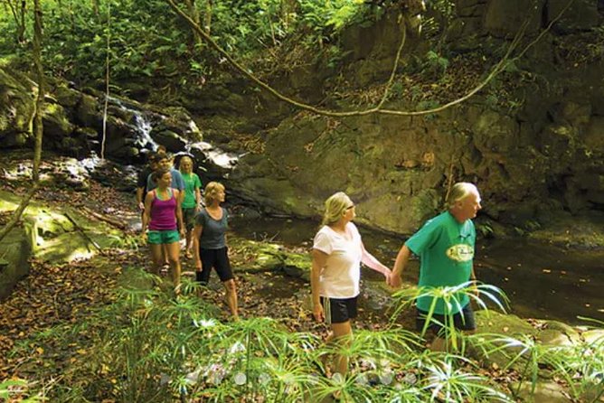 Hidden Valley Falls Kayak and Kauai Hike Adventure - Preparing for Your Hidden Valley Falls Adventure