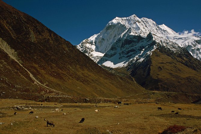 Hidden Valley - Tsum Valley Trek - Accommodation Options
