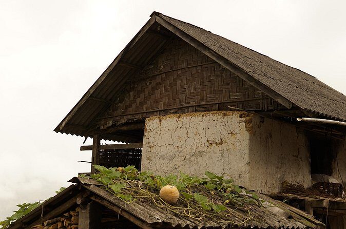 Hidden Villages Trekking to Hau Thao, Hang Da, and Sa Seng - What Reviewers Say