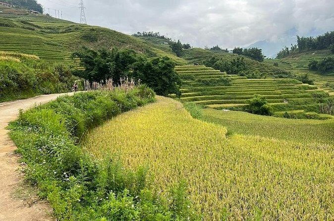 Hidden Villages Trekking to Hau Thao, Hang Da, and Sa Seng - FAQ