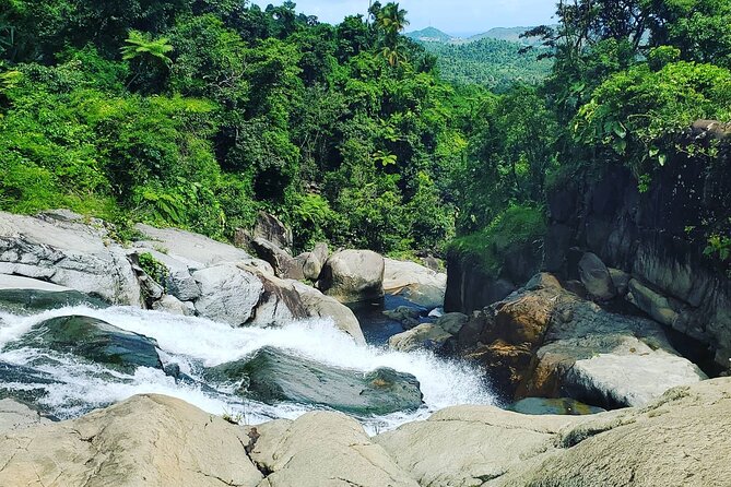 Hidden Waterfall Adventure in Remote Area of El Yunque Rainforest - Overview of El Yunque National Forest