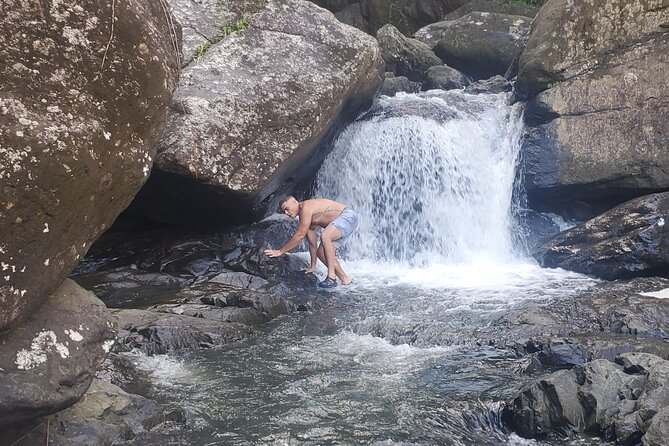 Hidden Waterfall Adventure in Remote Area of El Yunque Rainforest - Pace and Difficulty of the Hike