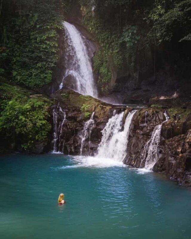Hidden Waterfall and Sukawati Temple with a local Guide Tour - Pricing and Value