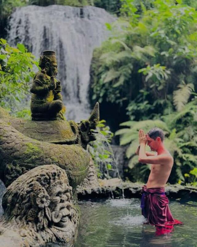 Hidden Waterfall and Sukawati Temple with a local Guide Tour - Who Should Book This Tour?