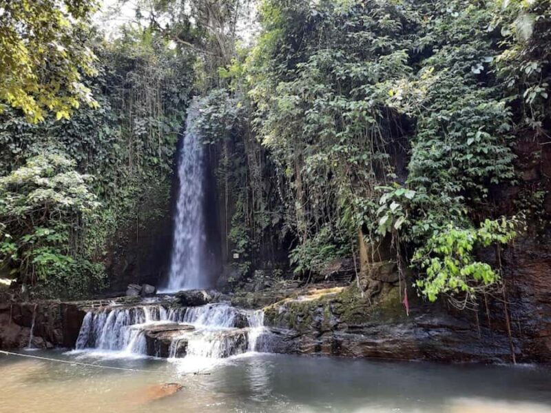 Hidden Waterfall and Sukawati Temple with a local Guide Tour - An In-Depth Look at the Tour