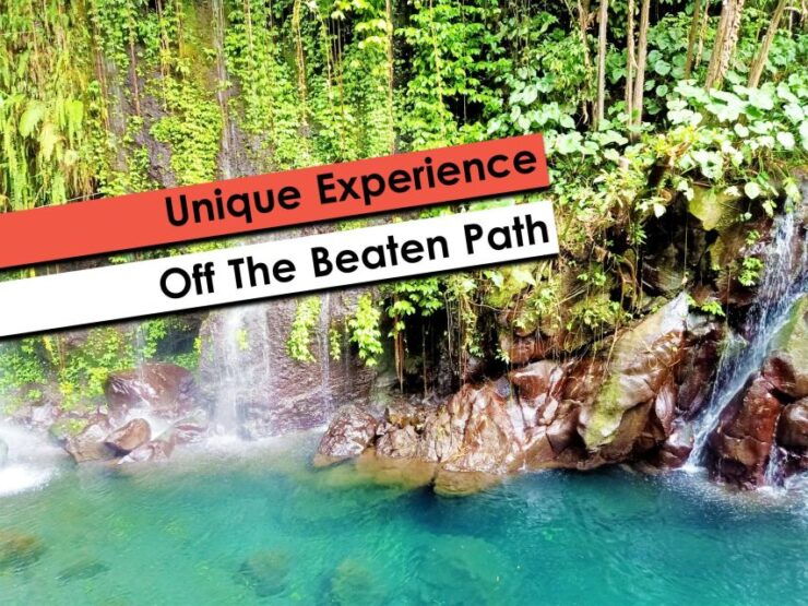 Hidden Waterfalls & Untouched Nature: 1-D All Inclusive - Highlights of the Experience