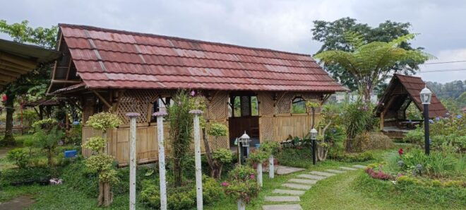 Hidden Waterfalls & Untouched Nature: 1-D All Inclusive - Detailed Exploration Itinerary