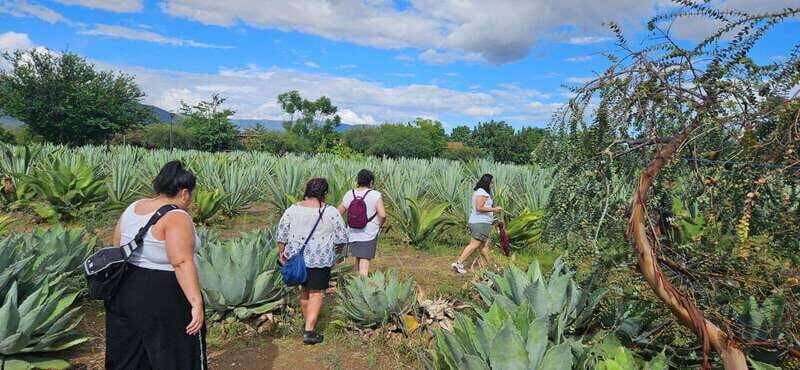 Hierve el agua: A Day of Adventure, Culture, and Flavor - Final Thoughts