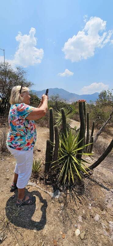Hierve el agua: A Day of Adventure, Culture, and Flavor - FAQs