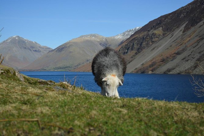 High Adventure Day Tour From Keswick - Mountain Goat Reviews