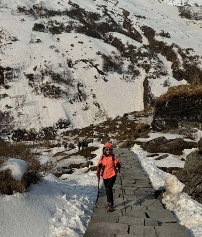 High Altitude Adventure - 10 Days Annapurna Basecamp - Transportation and Logistics