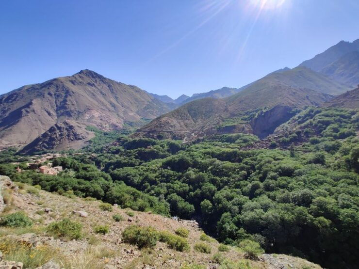 High Atlas Day Tour With Camel Ride From Marrakech - Experience Highlights