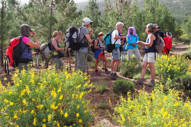High Atlas Day Trips From Marrakech - Good To Know