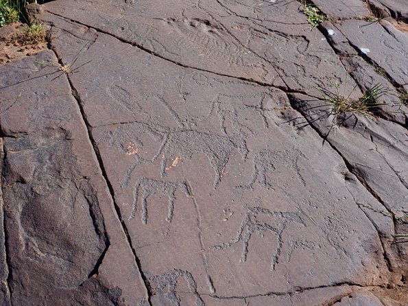 High Atlas Day Trips From Marrakech - Pickup Information