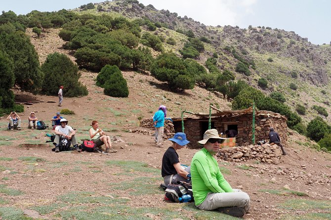 High Atlas Day Trips From Marrakech - Booking Options