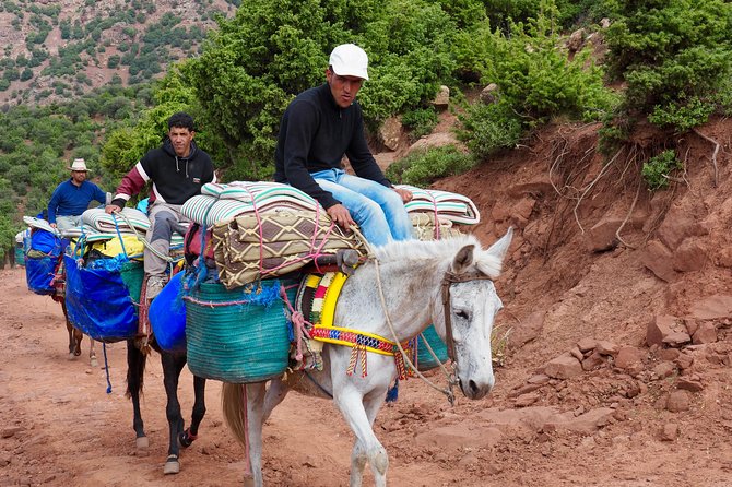 High Atlas Day Trips From Marrakech - Trip Expectations