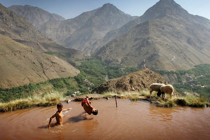 High Atlas & Desert Agafay Day Trip With a Guide - Tour Overview