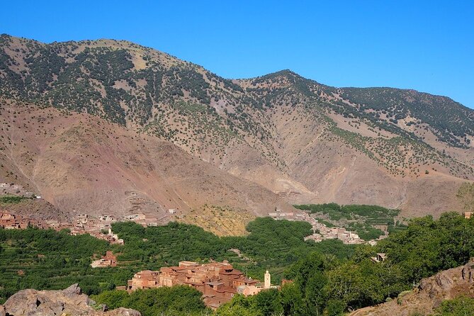High Atlas Mountains and 4 Valleys Day Trip From Marrakech Including Lunch - Customer Reviews and Testimonials