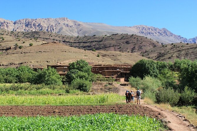 High Atlas Mountains and 4 Valleys Day Trip From Marrakech Including Lunch - Frequently Asked Questions