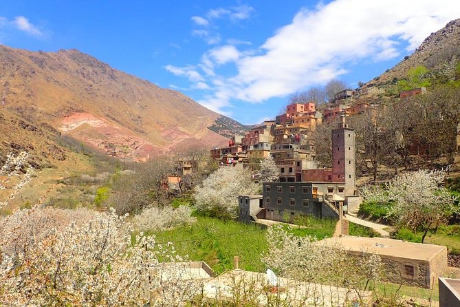 High Atlas Mountains and 4 Valleys Day Trip From Marrakech Including Lunch - The Sum Up