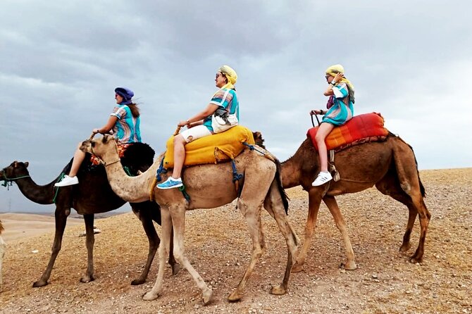 High Atlas Mountains and Agafay Desert Day Trip From Marrakech - Traveler Photos and Reviews