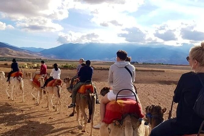 High Atlas Mountains and Three Valleys Tour - Tour Experience
