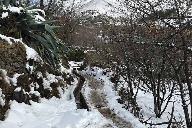 High Atlas Mountains Day Trip and Camel Trek - Berber Culture Experience