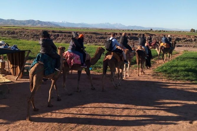 High Atlas Mountains Day Trip and Camel Trek - Lunch and Tea in a Berber Village