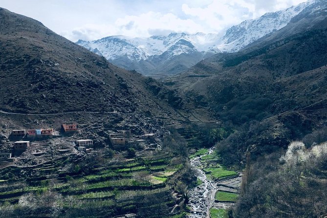 High Atlas Mountains Day Trip and Camel Trek - Traveler Reviews and Ratings