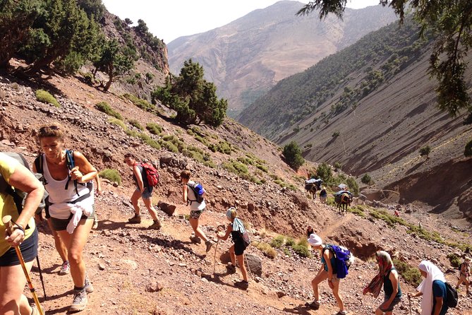 High Atlas Mountains Full Day Trek - Overview and Benefits