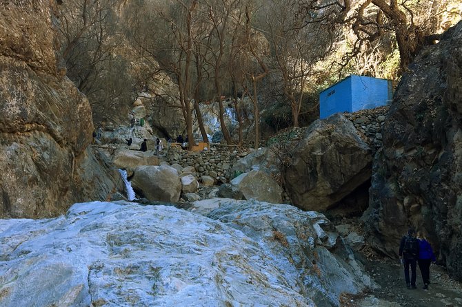 High Atlas Mountains - Ourika Valley Full-Day Trip From Marrakech - Customer Reviews