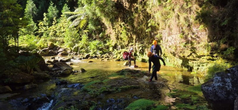 High Canyoning: Medium-High Level Canyoning Tour - Final Thoughts