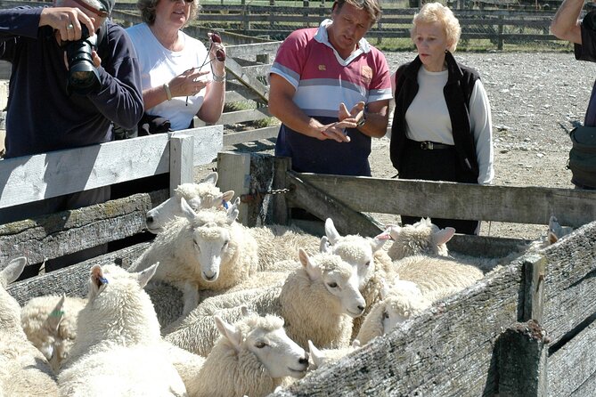 High Country Discovery Tour From Queenstown - Common Questions