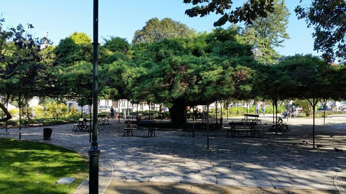 High-End Exclusive Wine and Food Tour Lisbon - Luxury Wine Tasting Experience