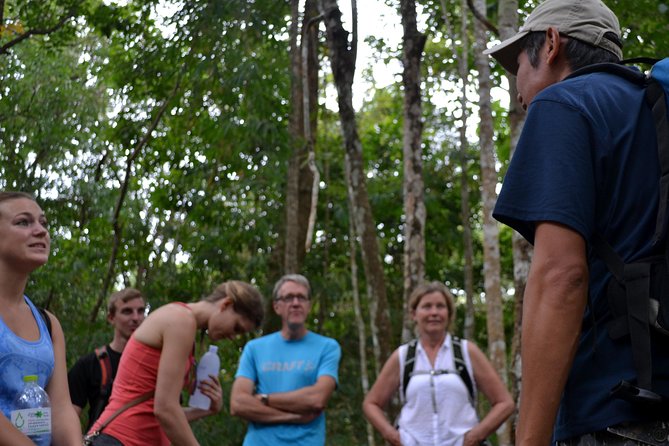 High Mountain Day Trek - Overview and Details of the High Mountain Day Trek